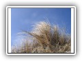 Impressionen