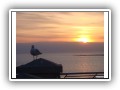 Impressionen