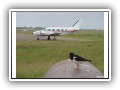 Borkum kann man gut per Flug erreichen!